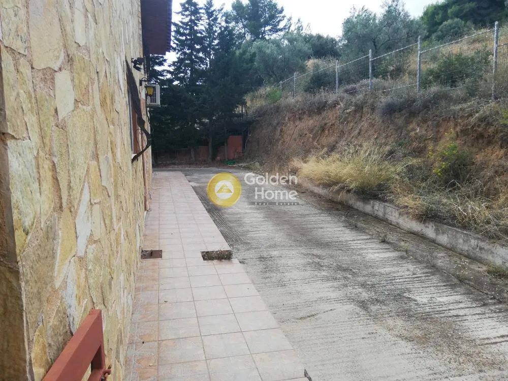 Μονοκατοικία 307τ.μ.  - 4