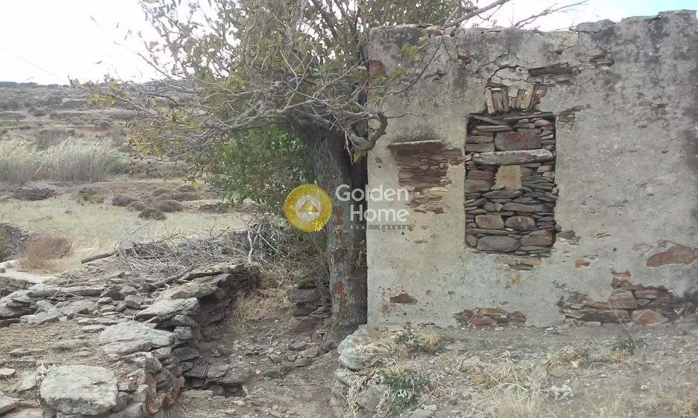 Αγροτεμάχιο 8600τ.μ.  - 5