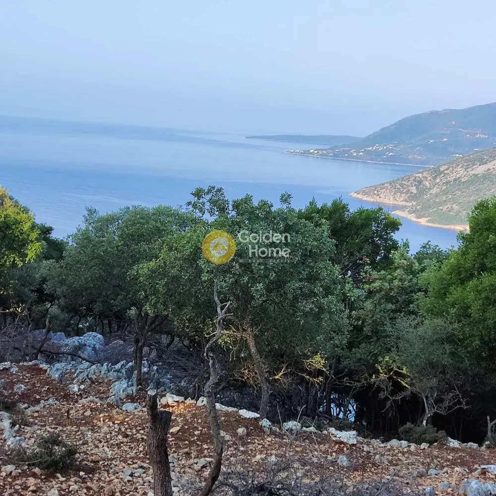 Αγροτεμάχιο 7313τ.μ.  - 2
