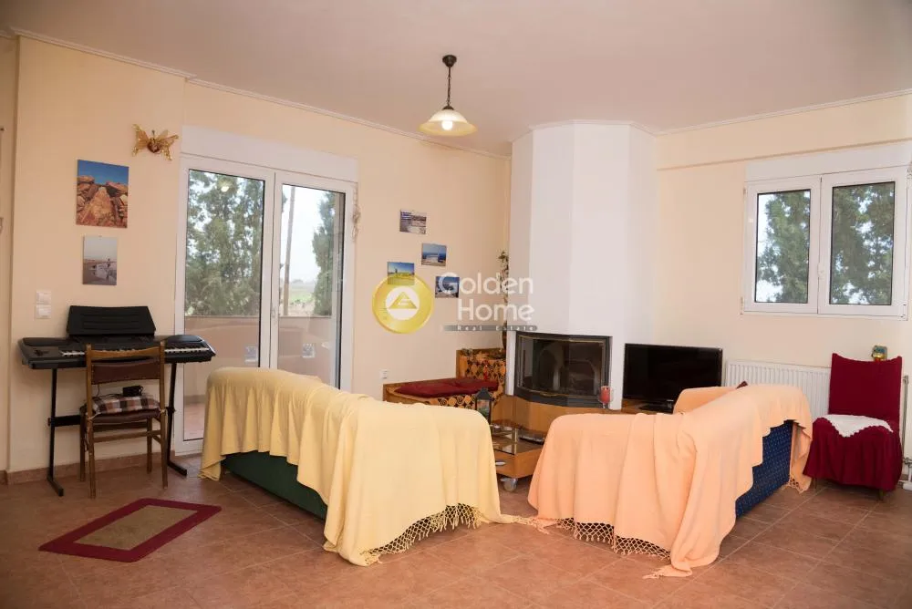 Detached house 500m²  - 2