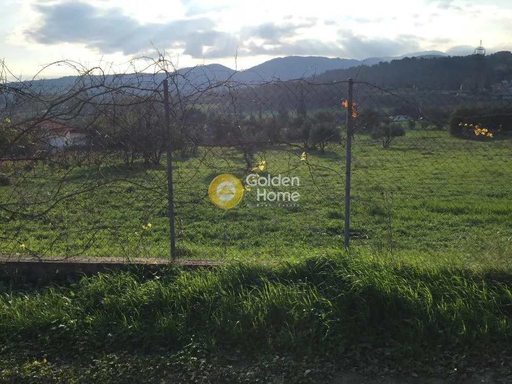 Αγροτεμάχιο 4060τ.μ.  - 5