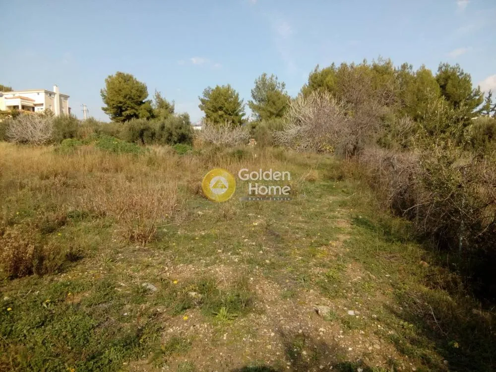 Plot 4875m²  - 2