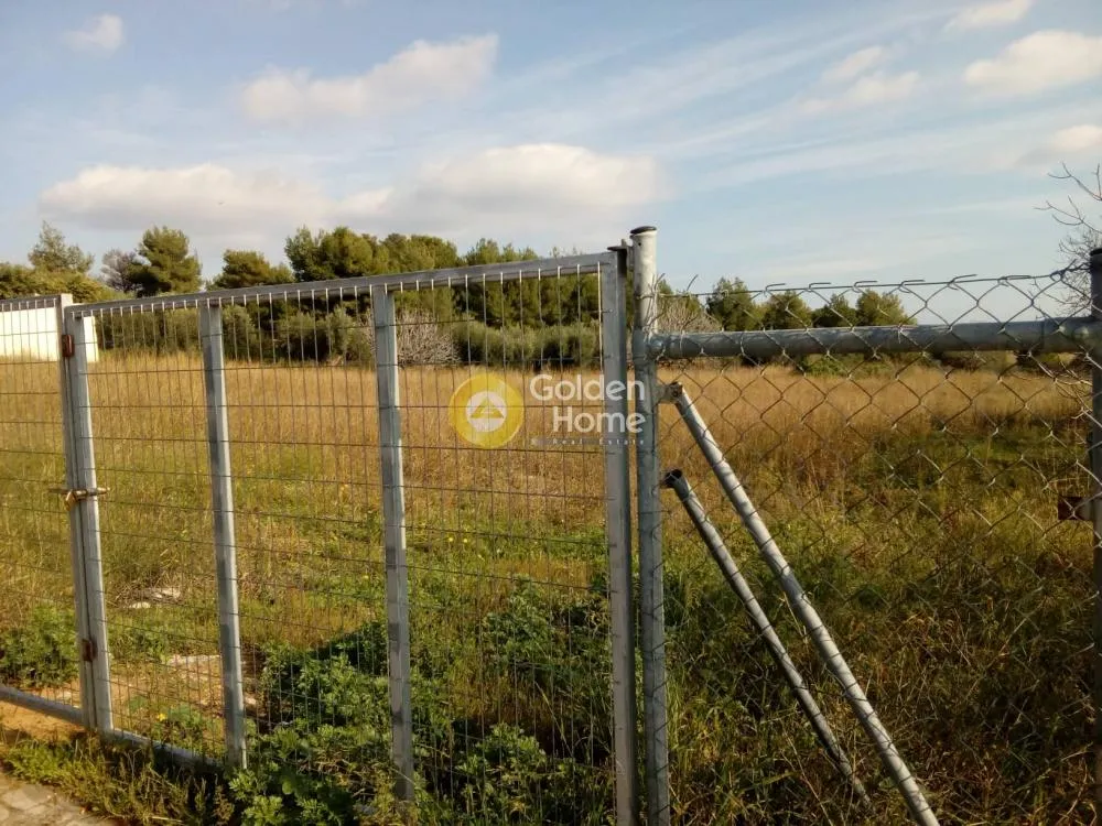 Plot 4875m²  - 3