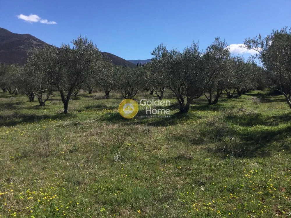 Land Parcel 17000m²  - 2