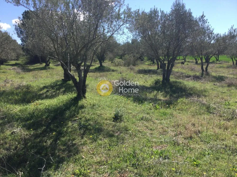 Land Parcel 17000m²  - 3