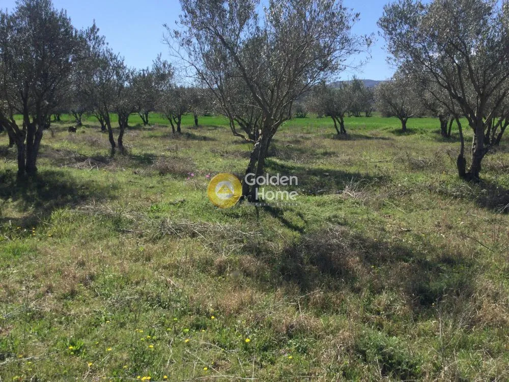 Land Parcel 17000m²  - 4