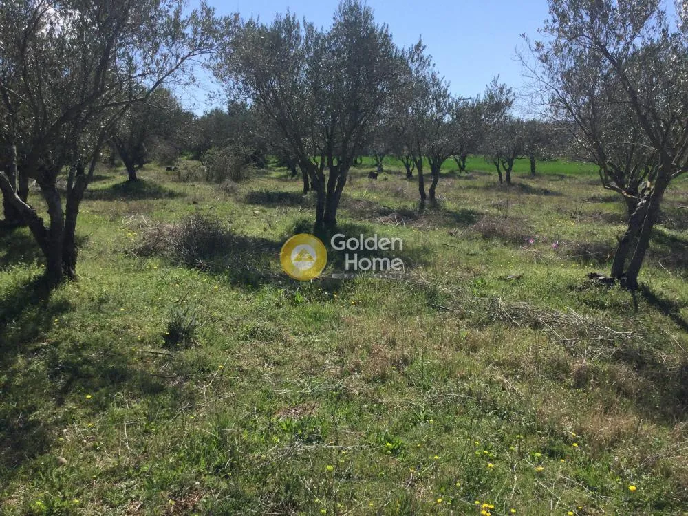 Land Parcel 17000m²  - 5