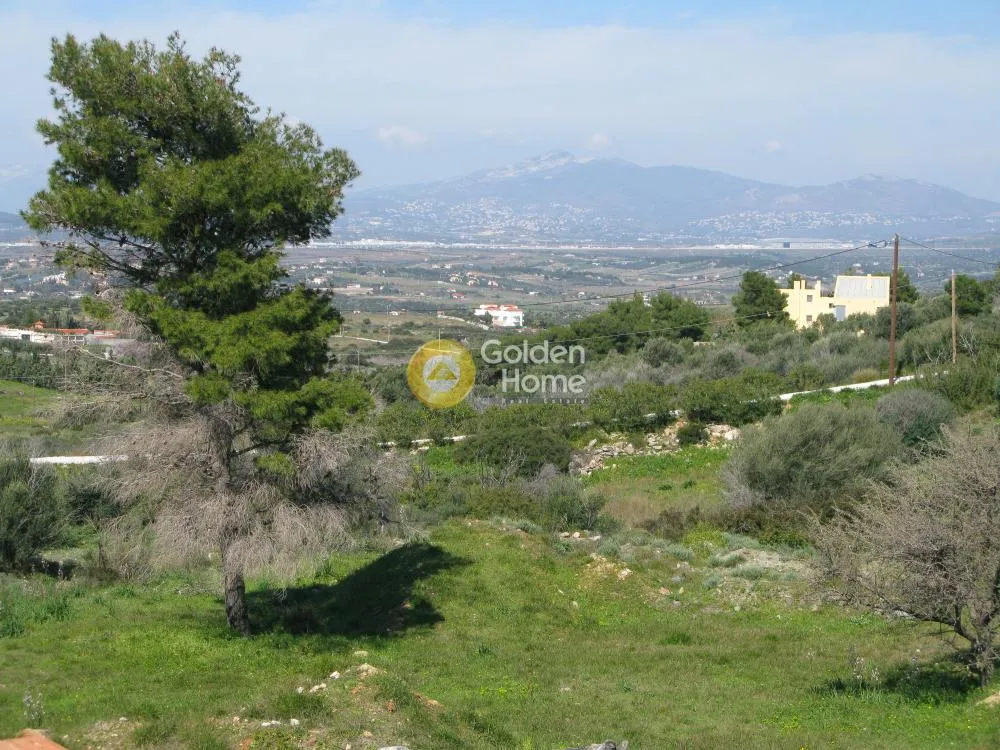 Detached house 800m²  - 2