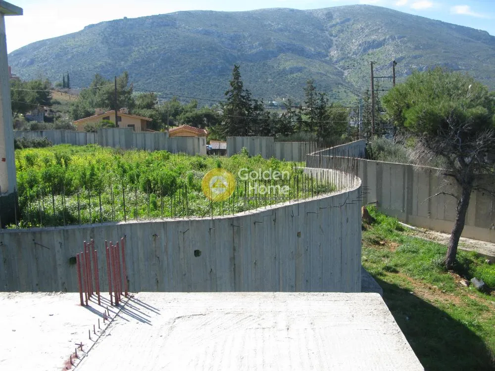 Detached house 800m²  - 4