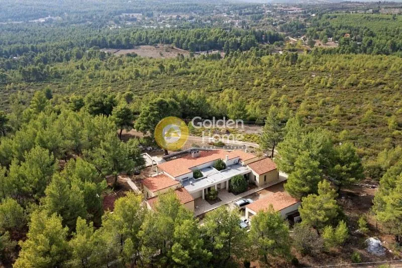 Μονοκατοικία 370τ.μ.  - 3