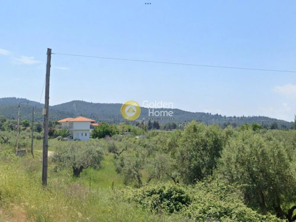 Αγροτεμάχιο 7500τ.μ.  - 3