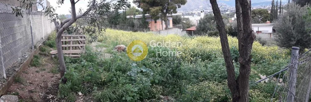Αγροτεμάχιο 292τ.μ.  - 2