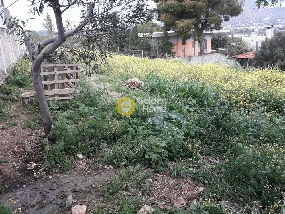 Αγροτεμάχιο 292τ.μ.  - 3