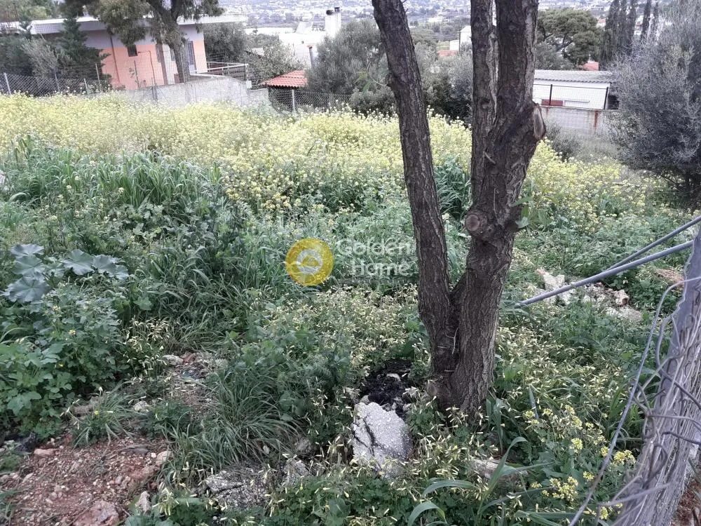 Αγροτεμάχιο 292τ.μ.  - 4