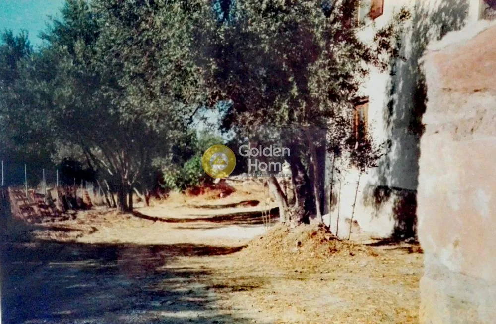 Μονοκατοικία 124τ.μ.  - 3
