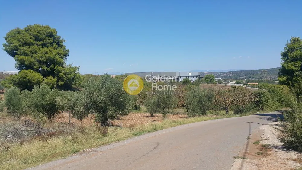 Άλλο.. 8890τ.μ.  - 2