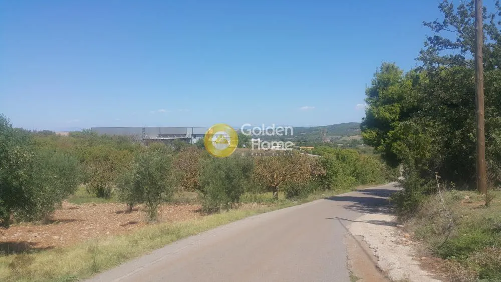 Άλλο.. 8890τ.μ.  - 3
