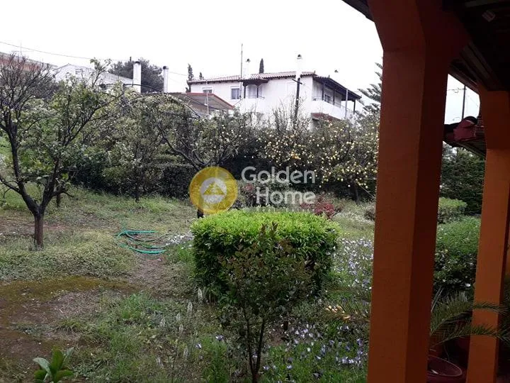 Detached house 250m²  - 4
