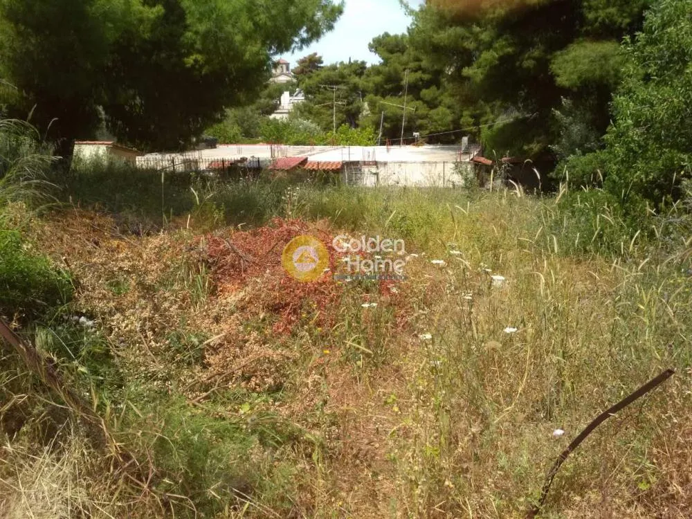 Αγροτεμάχιο 563τ.μ.  - 2