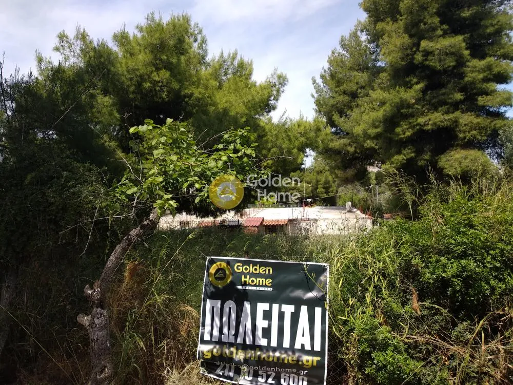 Αγροτεμάχιο 563τ.μ.  - 5