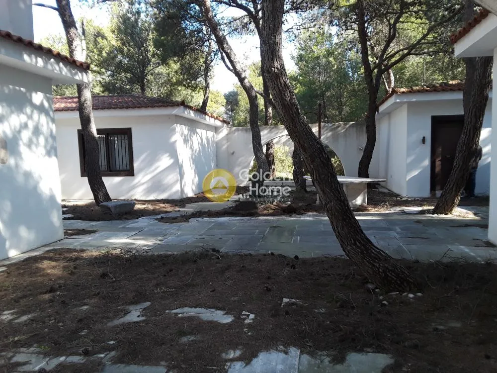 Other ..  230m²  - 2