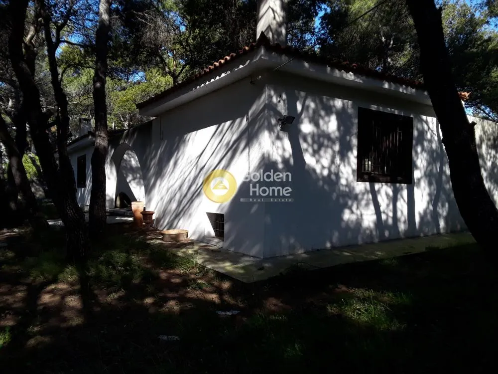 Other ..  230m²  - 5