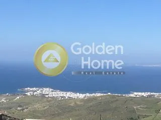 Άλλο..  560τ.μ.  - 4