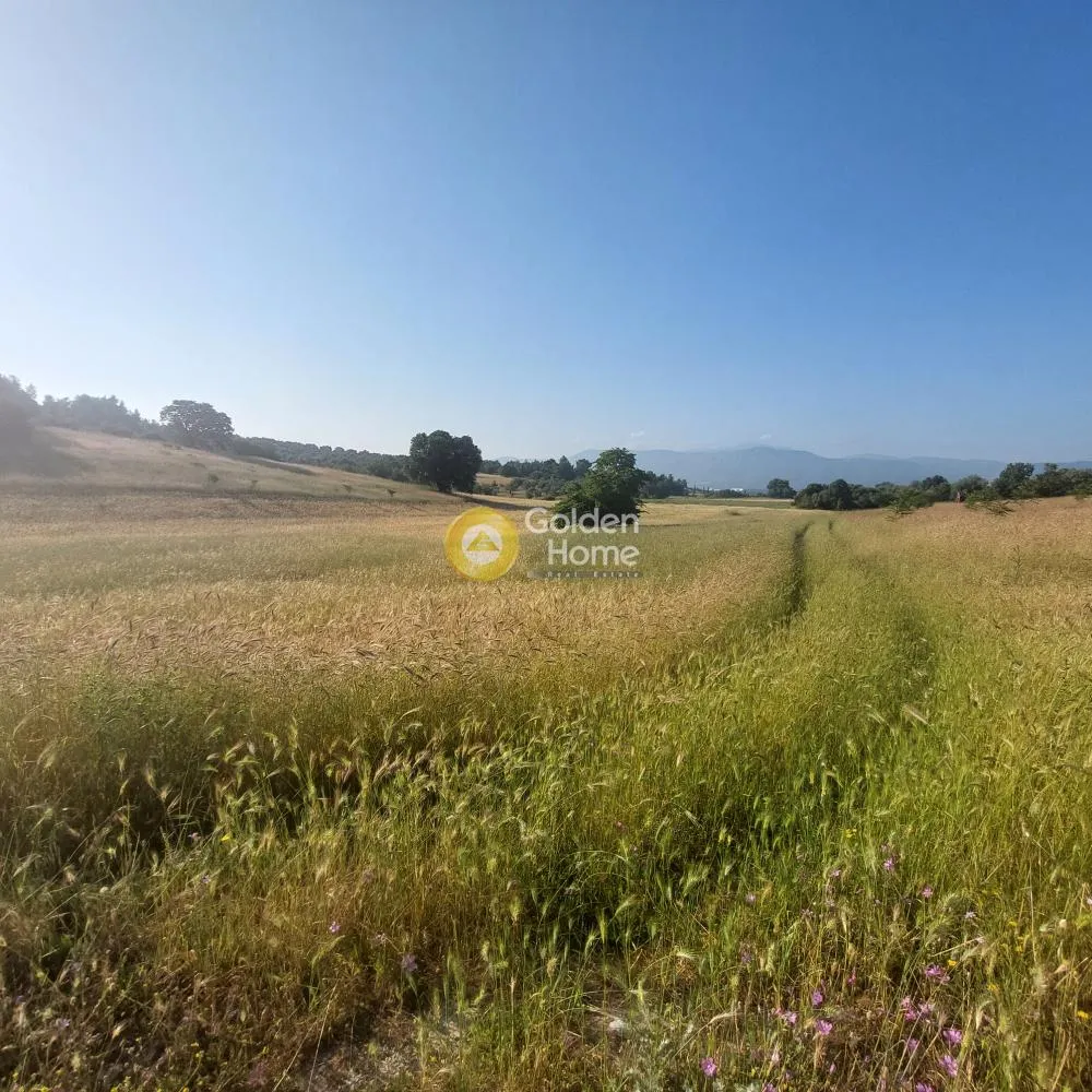 Άλλο.. 8700τ.μ.  - 2
