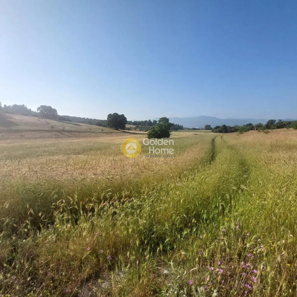 Άλλο.. 8700τ.μ.  - 3