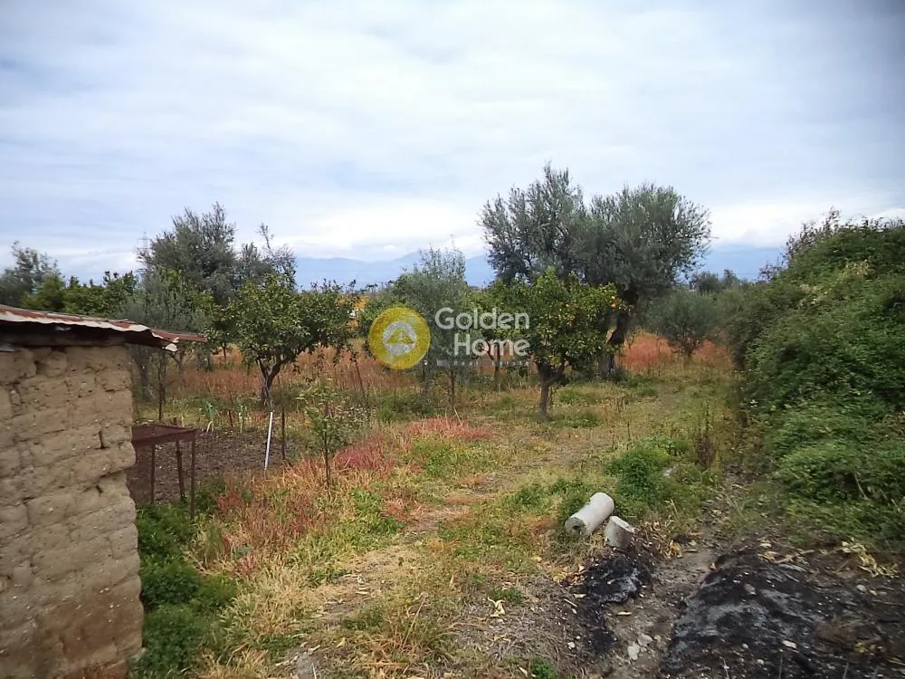 Αγροτεμάχιο 3834τ.μ.  - 3