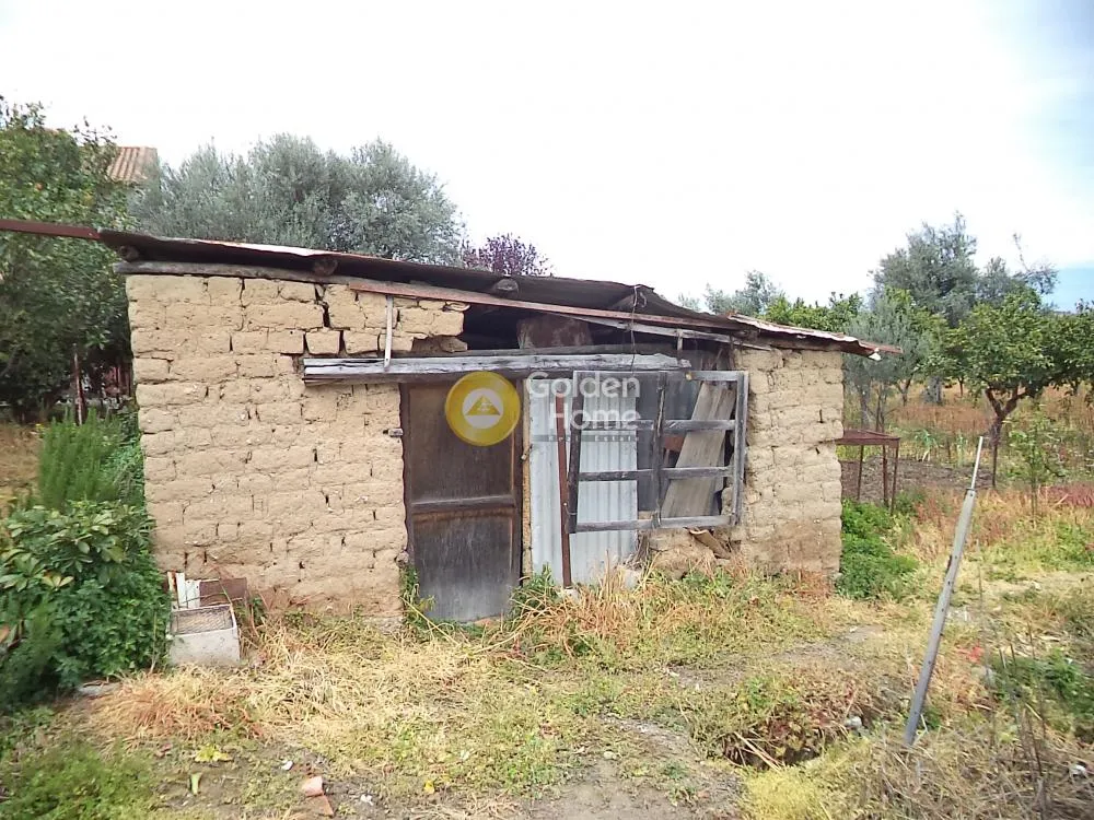 Αγροτεμάχιο 3834τ.μ.  - 4