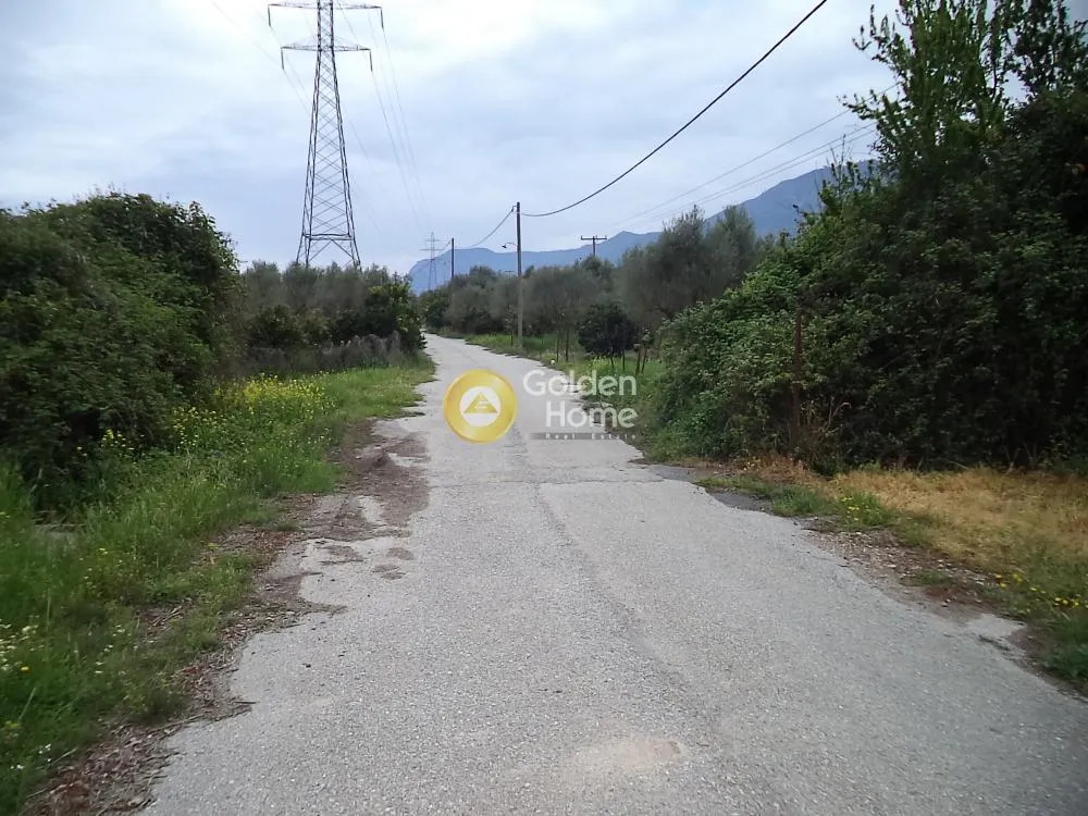 Αγροτεμάχιο 2730τ.μ.  - 2