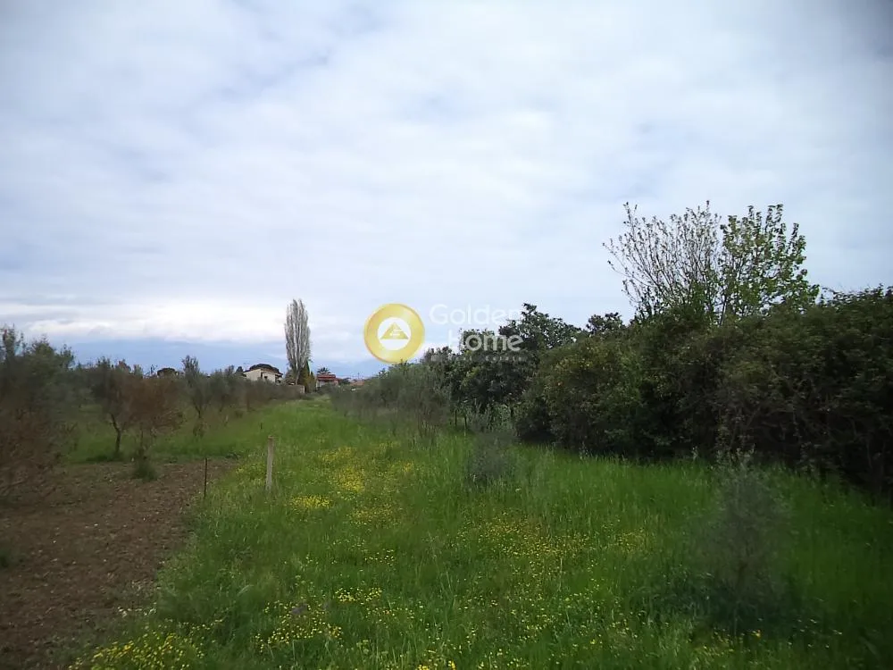 Αγροτεμάχιο 2730τ.μ.  - 3