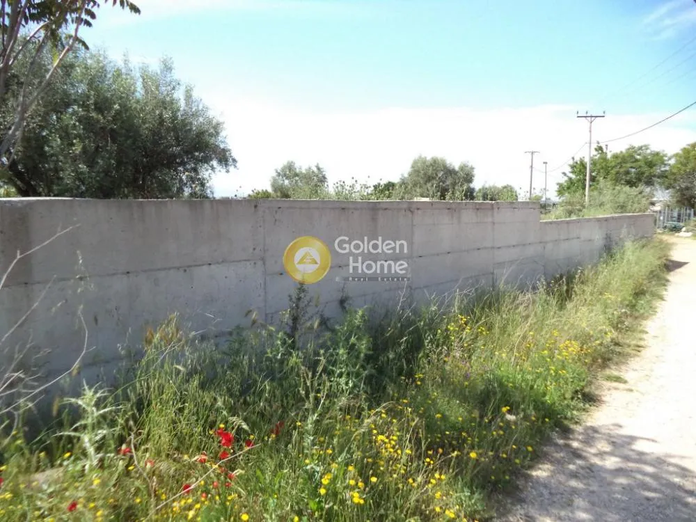 Other ..  140m²  - 5