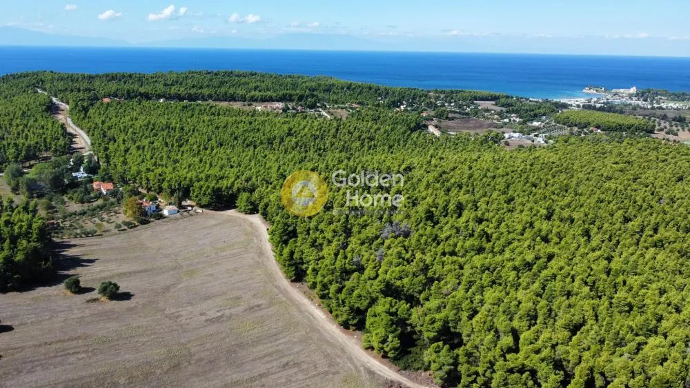 Land Parcel 7125m²  - 5