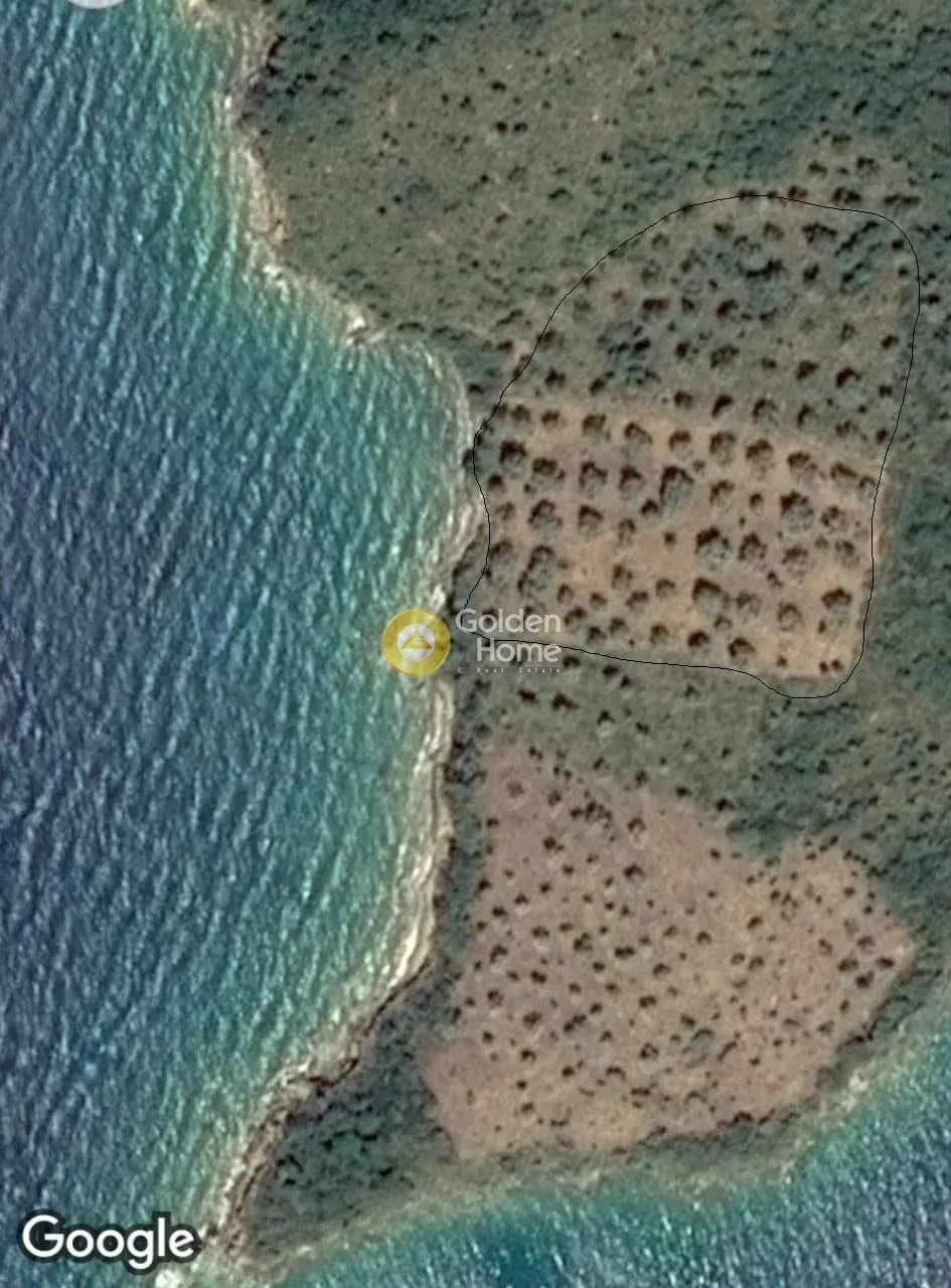 Αγροτεμάχιο 11349τ.μ.  - 3