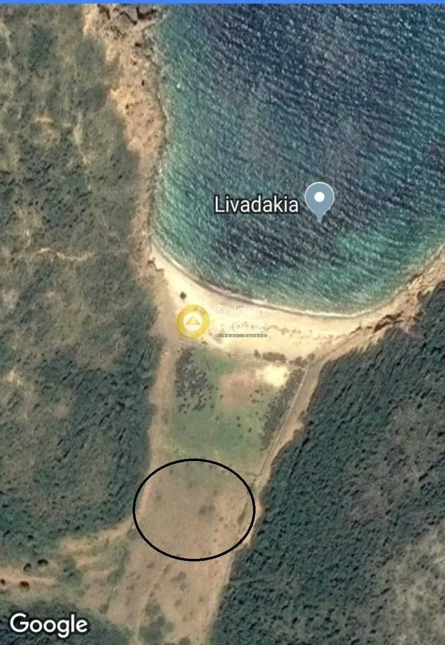 Αγροτεμάχιο 9967τ.μ.  - 2