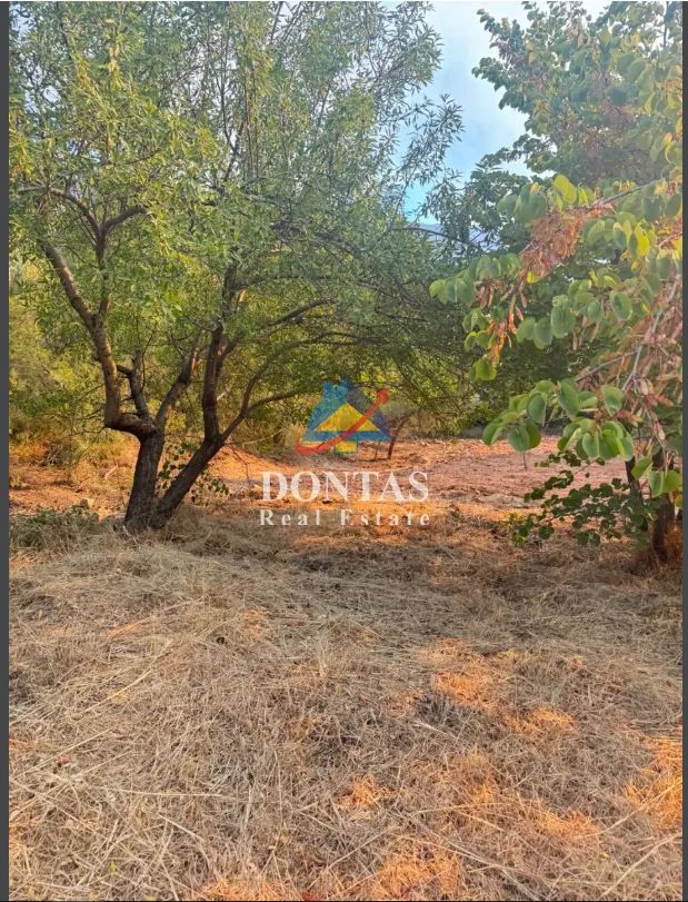 Οικόπεδο 806τ.μ.  - 4