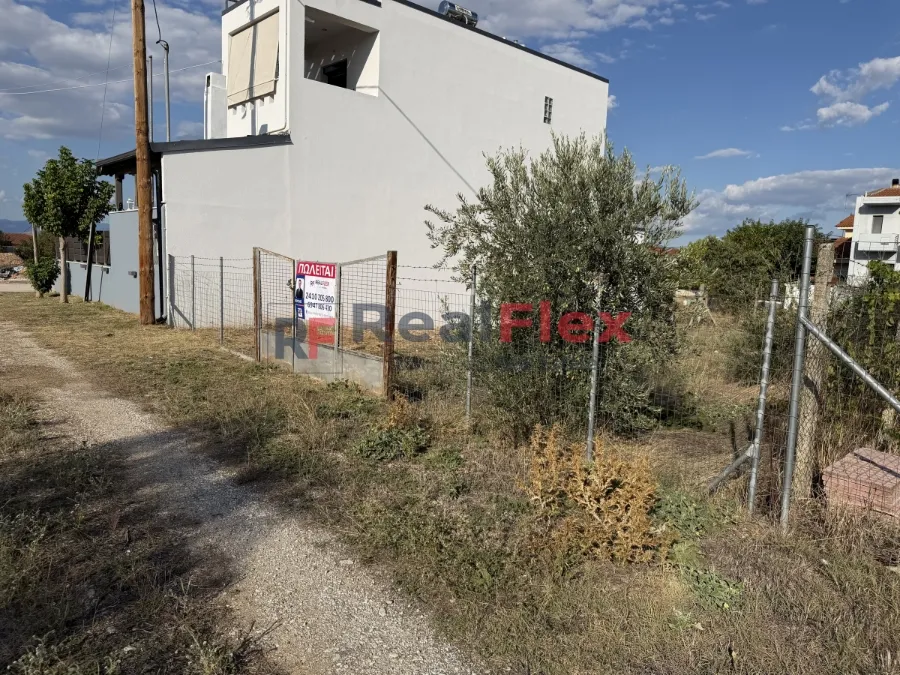 Οικόπεδο 270τ.μ.  - 4
