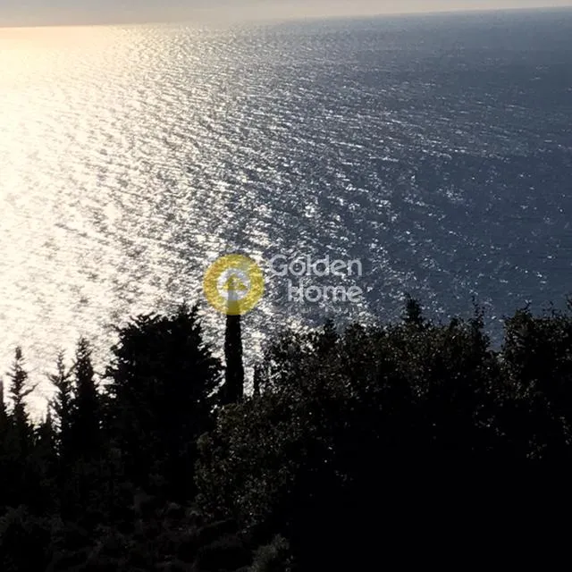 Αγροτεμάχιο 12500τ.μ.  - 2
