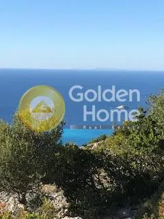 Αγροτεμάχιο 12500τ.μ.  - 4