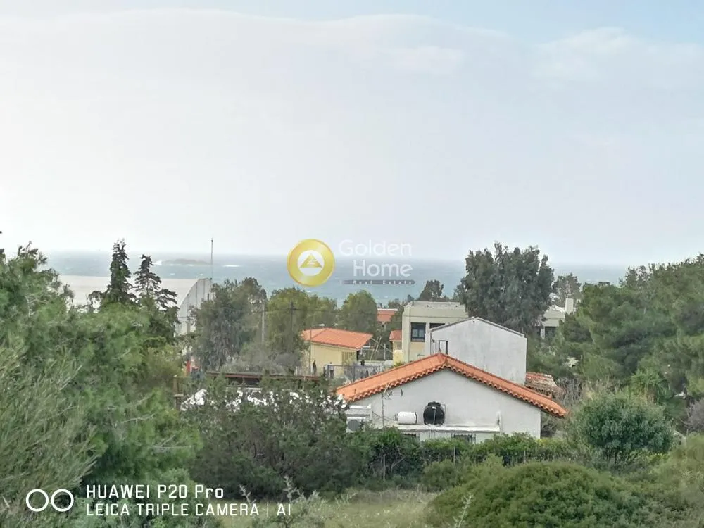 Αγροτεμάχιο 1200τ.μ.  - 3