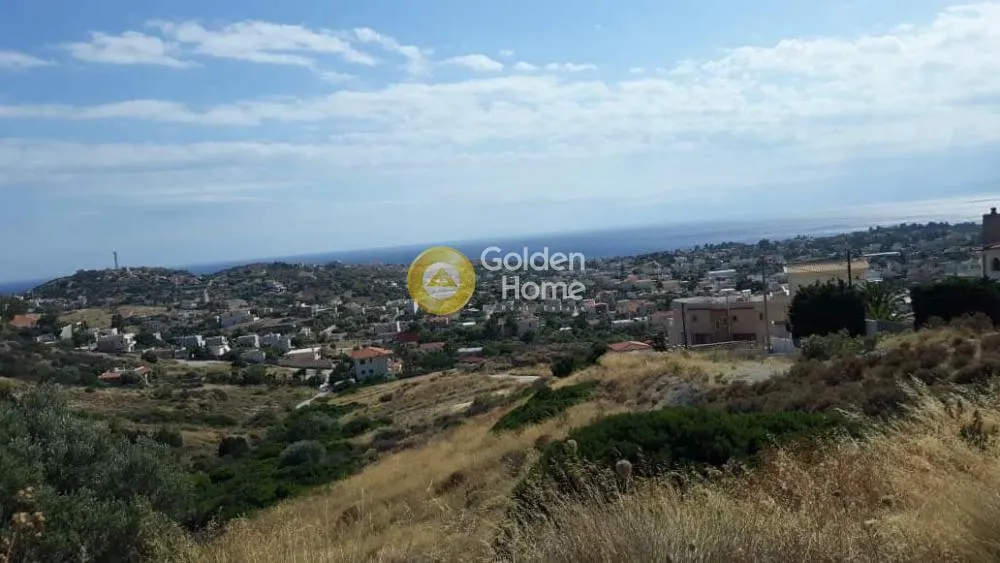 Αγροτεμάχιο 48000τ.μ.  - 3