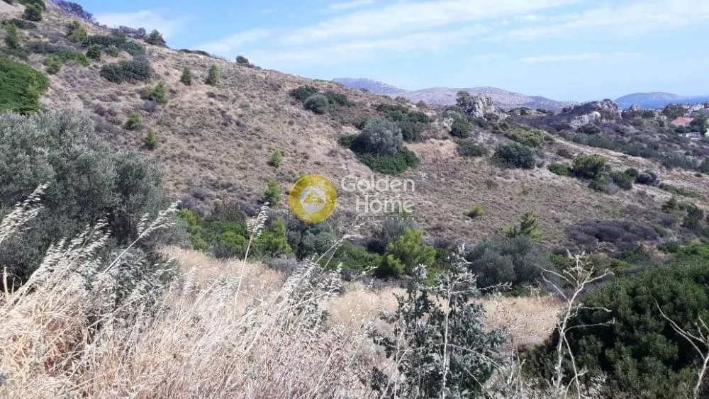 Αγροτεμάχιο 48000τ.μ.  - 5