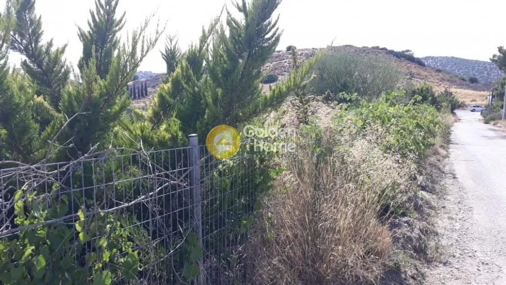 Αγροτεμάχιο 7500τ.μ.  - 5