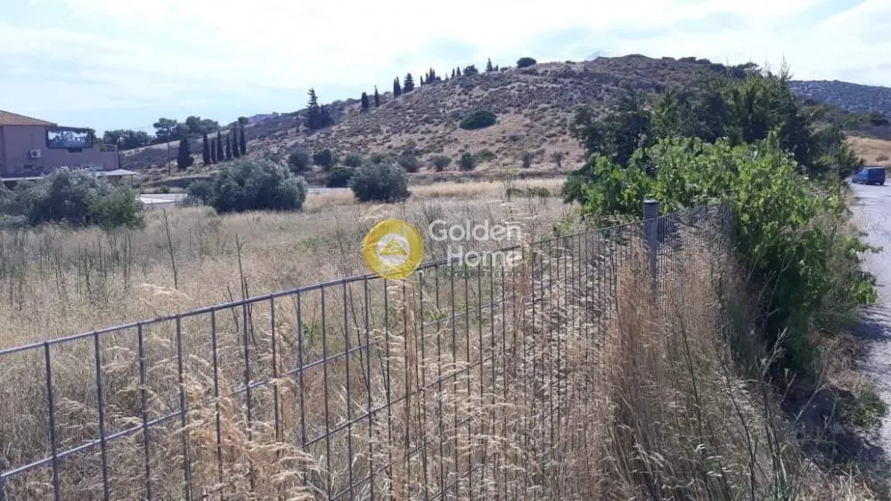 Αγροτεμάχιο 5500τ.μ.  - 2