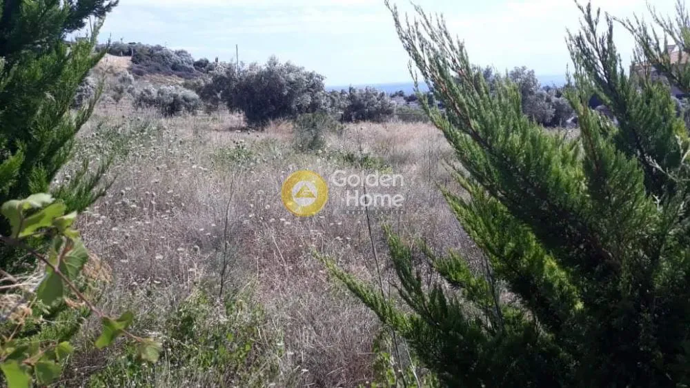 Αγροτεμάχιο 5500τ.μ.  - 3