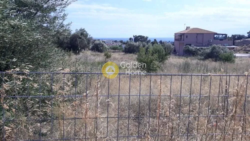 Αγροτεμάχιο 5500τ.μ.  - 5