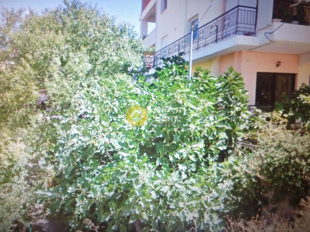 Detached house 60m²  - 3