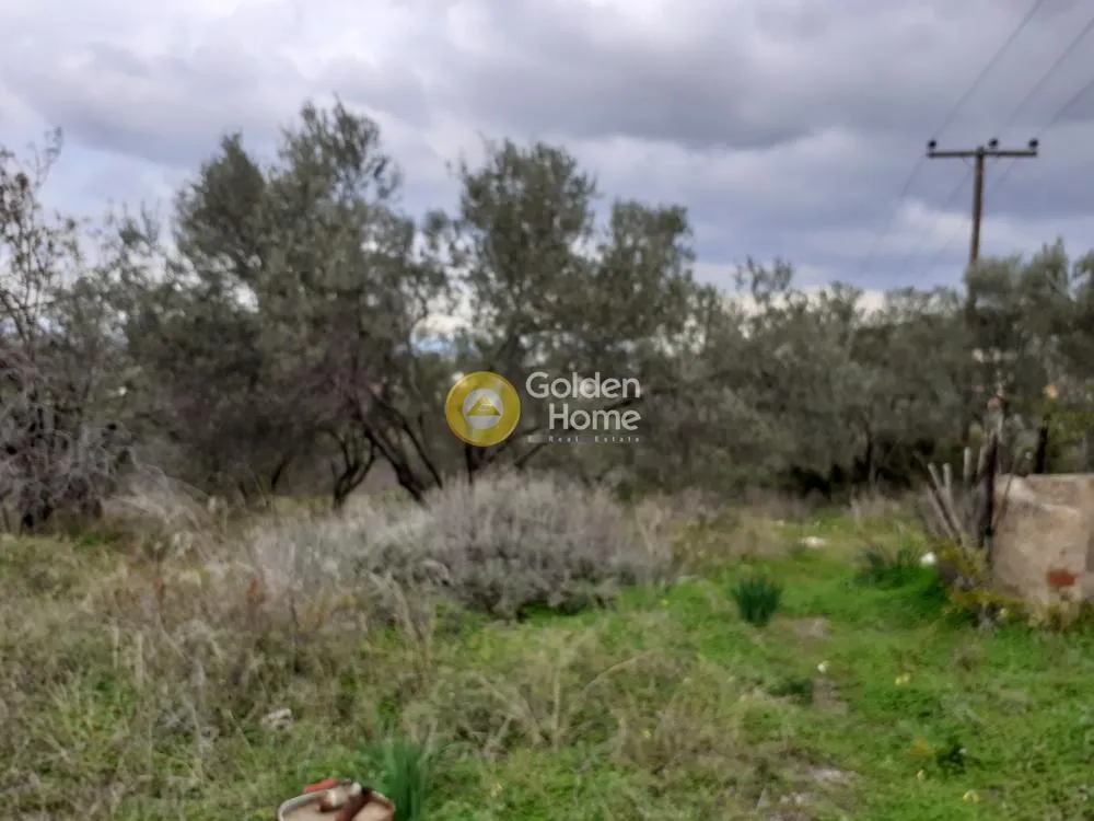 Land Parcel 1314m²  - 3